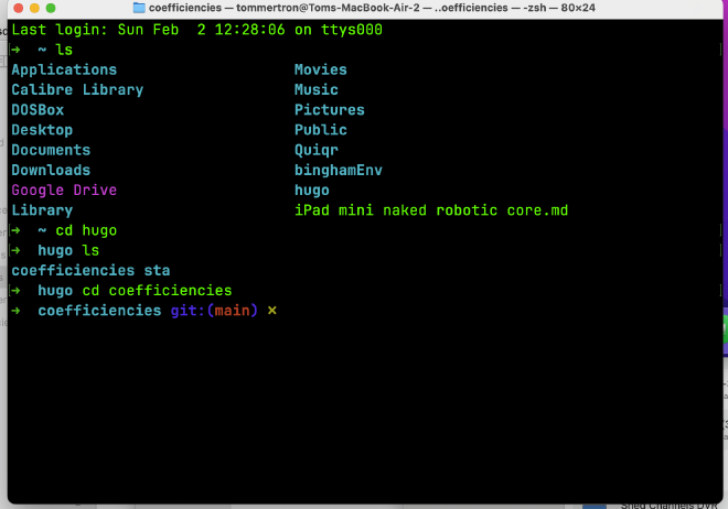 My Terminal with Oh My Zsh